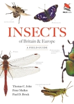 Insects of Britain & Europe