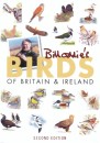 Bill Oddie's Birds of Britain & Ireland Bill Oddie's Birds of Britain & Ireland