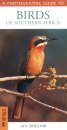 A Photographic Guide to Birds of Southern Africa