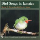 Bird Songs in Jamaica