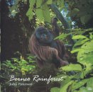 Borneo Rainforest