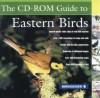 Eastern Birds