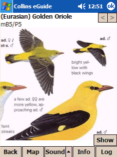 collins bird eguide: species page