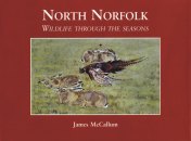 North Norfolk Wildlife Through the Seasons