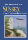 Best Birdwatching Sites in Sussex