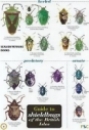 Guide to Shieldbugs of the British Isles