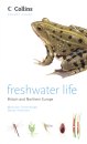 Collins Pocket Guide Freshwater Life