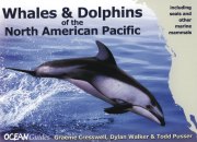 Whales & Dolphins of the North American Pacific