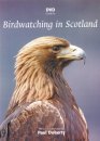 Birdwatching in Scotland
