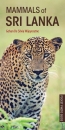 Pocket Photo Guide to the Mammals of Sri Lanka