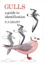 Gulls: A Guide to Identification Edition 2