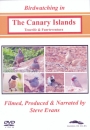 Birdwatching in The Canary Islands