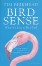 Bird Sense: What it's like to be a bird