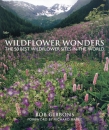 Wildflower Wonders