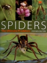 Spiders: The Ultimate Predators