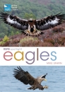 RSPB Spotlight Eagles