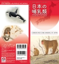Common and Iconic Mammals of Japan