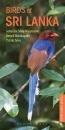 Pocket Photo Guide to the Birds of Sri Lanka
