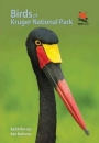 Birds of Kruger National Park