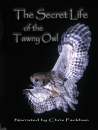 The Secret Life of the Tawny Owl