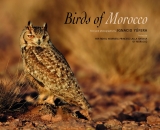 Birds of Morocco