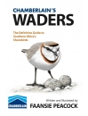 Chamberlain's Waders: The Definitive Guide to Southern Africa's Shorebirds