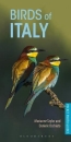 Birds of Italy (Pocket Photo Guide)