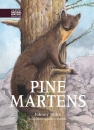Pine Martens