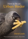 How to be an Urban Birder