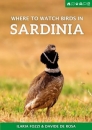 Where to Watch Birds in Sardinia
