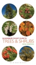 Bloomsbury Pocket Guide to Trees & Shrubs
