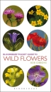 Bloomsbury Pocket Guide to Wild Flowers