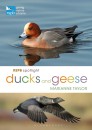RSPB Spotlight: Ducks and Geese