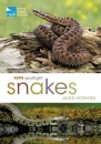 RSPB Spotlight: Snakes