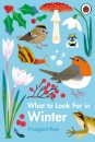 What to Look For in Winter (A Ladybird Book)