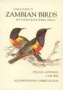 Field Guide to Zambian Birds not found in Southern Africa
