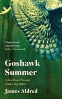 Goshawk Summer: A New Forest Season Unlike Any Other