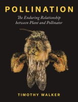Pollination: The Enduring Relationship between Plant and Pollinator