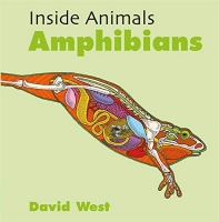 Amphibians (Inside Animals)