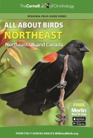 All About Birds Northeast: Northeast US and Canada
