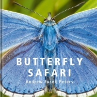 Butterfly Safari