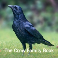 The Crow Family Book