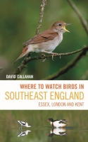Where to Watch Birds in Southeast England: Essex, London and Kent