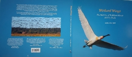 Wetland Wings Wetland Wings