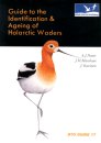 Guide to the Identification & Ageing of Holarctic Waders